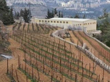 Die Mauer von Cremisan: „der letzte Sargnagel für Bethlehem“